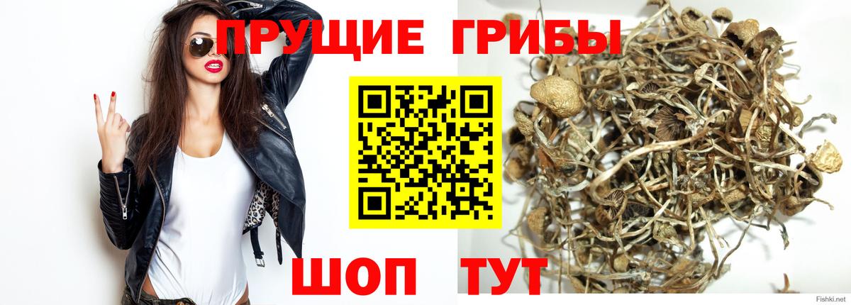 Галлюциногенные грибы MAGIC MUSHROOMS Мичуринск