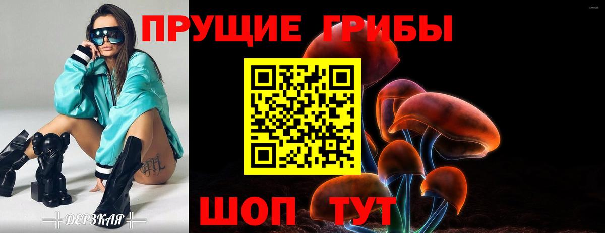 Галлюциногенные грибы Cubensis  Вход с VPN  Псилоцибиновые грибы Psilocybine cubensis  Мичуринск 